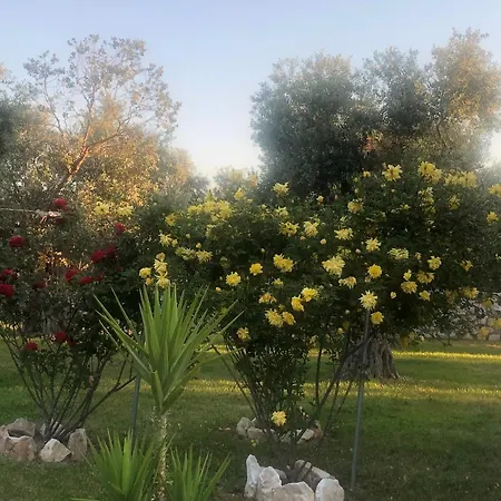 Arhondula Villa *